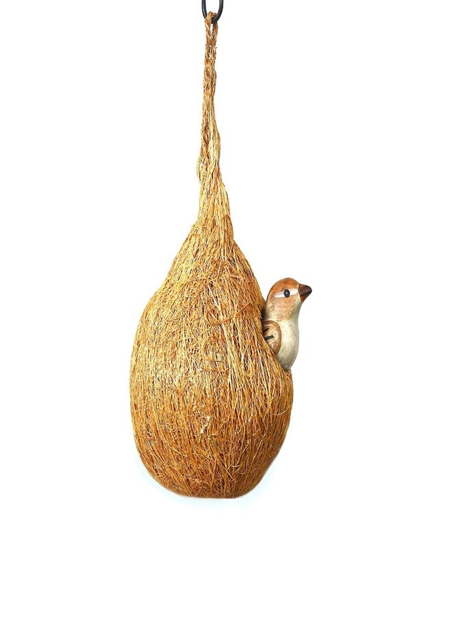 DealFry Handmade Hanging Bird Nest with Single Hole Made of Natural Coir Fiber Coconut Shell, Hanging Bird Nest for Cage and Balcony Birds Sparrows Finches Breeding, 1 Piece (Brown | Medium) - Image 5